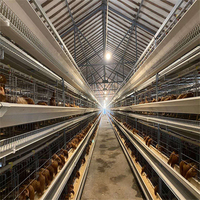 Cage de poulet double couche, équipement agricole avec Design de maison de poulet