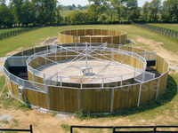 Marcheur de chevaux populaire contrôle de vitesse Variable bras en acier de galvanisation à chaud équipement d'entraînement de cheval