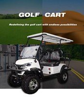 Club 2 4 6 places personnalisé confortable 4 places voiturettes de golf électriques 72v Lithium chinois voiturette de golf électrique voiture vente EEC Buggy