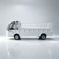 Bus utilitaire électrique de grande capacité à 2 places pour le transport de passagers, idéal pour les hôtels, les stations balnéaires, les entreprises et les excursions touristiques