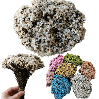 Petites fleurs séchées naturelles mini marguerites blanches, remplisseurs floraux réels pour DIY, décorations de Noël, de la Fête des Mères, de la remise des diplômes et pour la maison, en verre