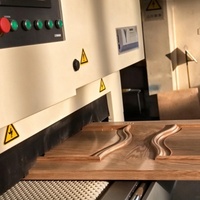Machine de ponçage automatique pour portes en bois irrégulières, équipement professionnel de production pour le travail du bois, finition de surface des portes en bois