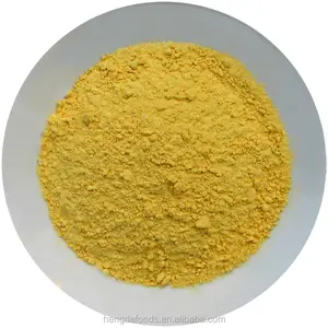 Hot Sales Dehydrated Ginger Extract Powder Air Dried Ginger Powder with Good Quality