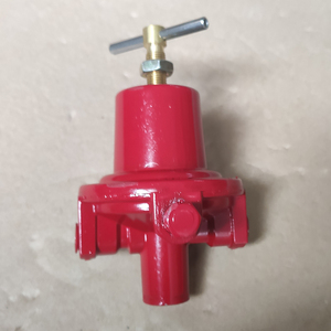 Regulador Neumático REGO 597FA de Alta Presión para Quemadores de Gas Industriales, Calentadores de GLP y Válvulas Reductoras 597F - Product Image 5