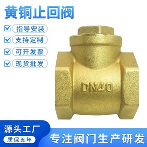 Clapet anti-retour Senfm DN40, filetage britannique, pour tuyau d'eau, structure à une seule palette - Product Image 2