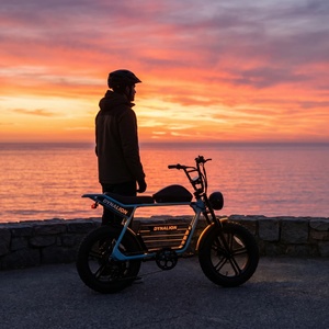 Vélo électrique urbain à charge rapide avec <span class=keywords><strong>porte</strong></span>-bagages arrière, vélo électrique robuste à pneus larges pour les trajets sur le campus - Product Image 1