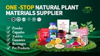 Complément Alimentaire HALAL pour Femmes - Gummies Naturels pour l'Amélioration des Fesses et l'Augmentation des Hanches, 60 Gummies, OEM Disponible