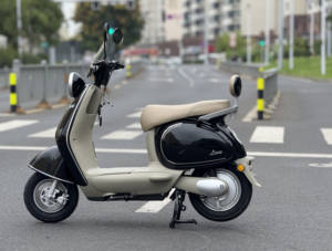 Vélo à énergie électrique Vélo à moteur pour adultes <span class=keywords><strong>Moto</strong></span> Vente en gros transfrontalière de véhicules électriques et de motos - Product Image 6