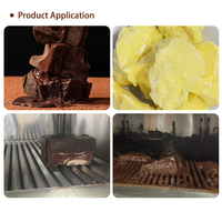 GUSU 500L Machine à Faire Fondre le Beurre de Cacao et le Chocolat en Acier Inoxydable avec Contrôle de Température – Équipement de Traitement du Chocolat