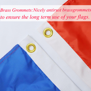 Vente en gros personnalisée de haute qualité avec œillets en laiton 100% polyester 3*5 pieds drapeaux érythréens drapeau national bannière de pays - Product Image 5