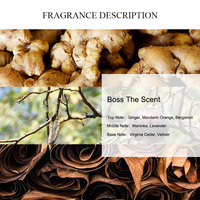 UNIQUE AROMA Boss The Scent Huile de parfum Prix d'usine Huile de créateur Parfum de marque Fournisseur de parfums
