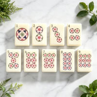 Jeu de Mahjong américain en acrylique ivoire, 160 tuiles à motifs thématiques complètes avec supports, coffret cadeau de jeu de table familial haut de gamme