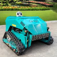 Piste de tondeuse robot personnalisée en usine Lames de marteau télécommandées Tondeuse à fléaux Rc à essence avec certification CE EPA