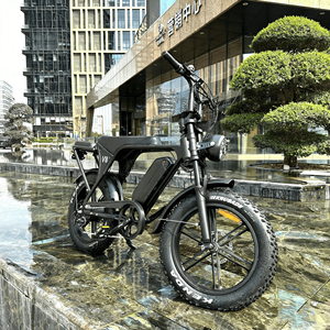 Fatbike V8 Pro Électrique E Fatbike V8 Entrepôt UE 20x4.0 Pneu Électrique Fat Tire E Bike Ebike E-bike - Product Image 1