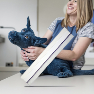 सटीक पालतू जानवर का पता लगाने वाले पशु परीक्षण के लिए कैनाइन डिटरपर वायरस (सीडीवी) रैपिड टेस्ट किट एंटीजन परीक्षण - Product Image 3