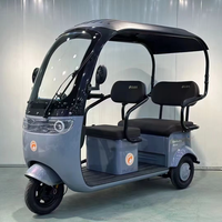 Triciclo Eléctrico Mini para Adultos, Nuevo Diseño Económico, 3 Ruedas, Motor en el Buje Trasero, 1000W, 3 Velocidades, Marco de Acero al Carbono, para Carga y Pasajeros