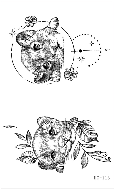 HC113