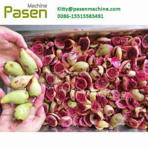 Separador de semillas de una fruta, máquina extractora de cactus rickly PEAR - Product Image 6