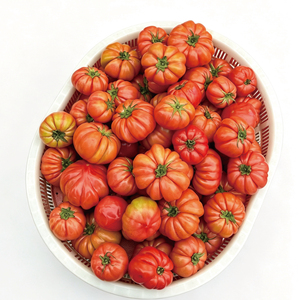 Tomate Ugly, variété ancienne authentique, à chair sableuse, fraîche, mûrie naturellement en extérieur, du Shandong, pour consommation crue - Product Image 4