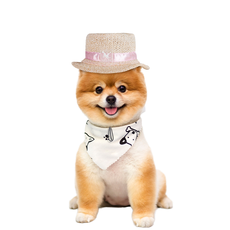 For Cute Pet Dog Woven Straw