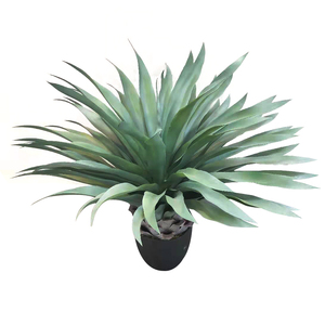 Paisaje de las plantas de <span class=keywords><strong>interior</strong></span> o al aire libre decoración falso plantas de <span class=keywords><strong>Agave</strong></span> - Product Image 1