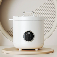 Portable 2L Ménage Électrique Cuiseur À Riz Mini Plastique Automatique avec Boîtier En Aluminium Fonctions Intelligentes pour Cuisine Voiture Hôtels