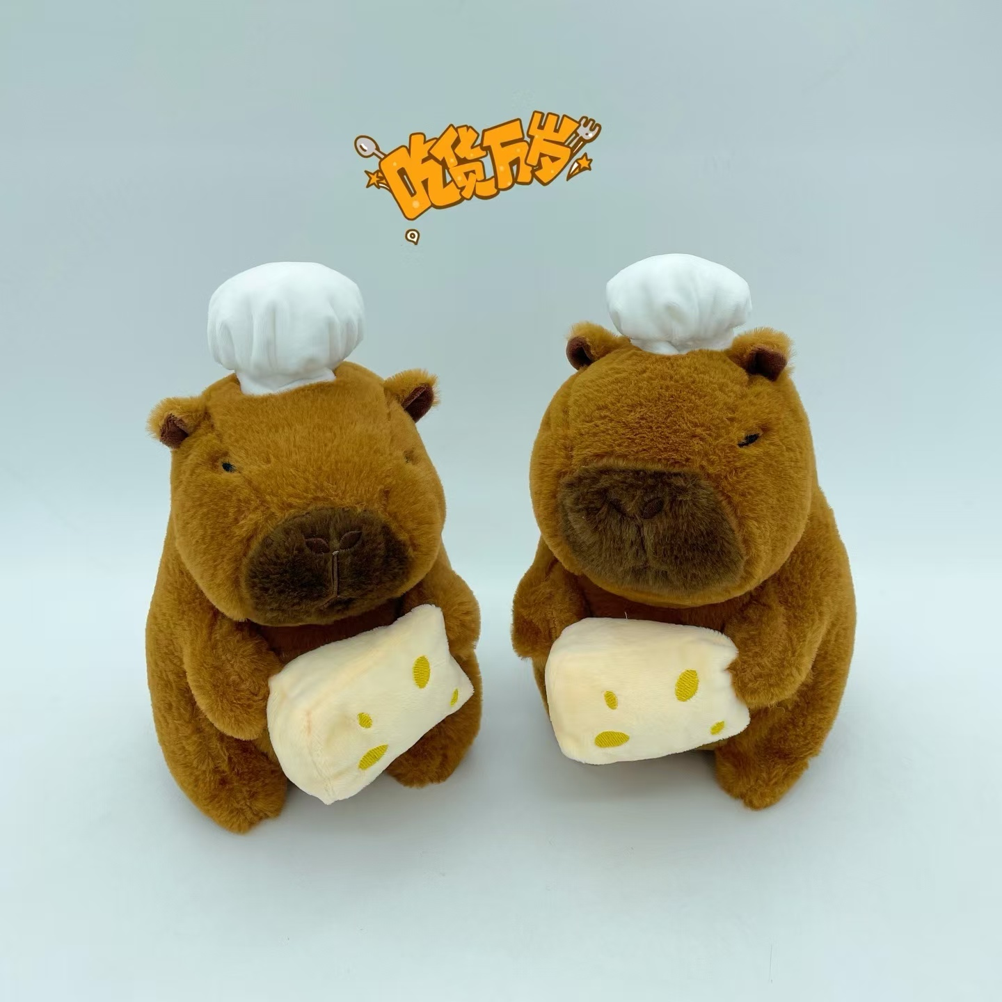 Capybara/Fromage