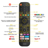 EN2G30H Télécommande universelle pour Hisense Smart TV