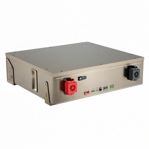 Batterie domestique Dyness 51,2 V 100 Ah Powerwall, batterie au lithium 5 kWh, montage mural, 5 kWh 10 kWh, batterie Lifepo4 avec BMS intelligent - Product Image 2