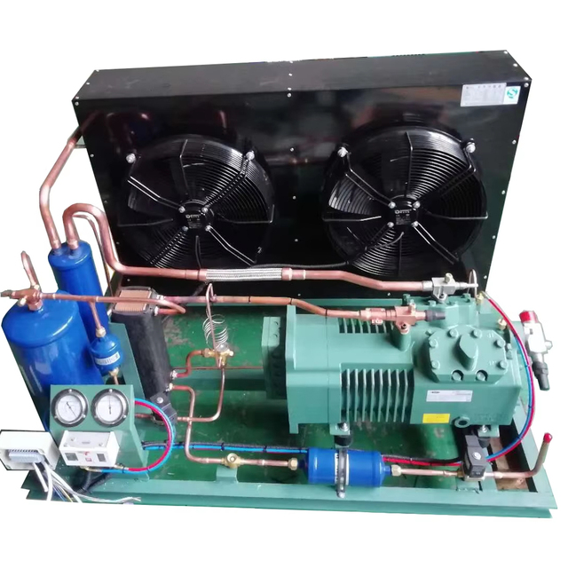 Cold Room Cold Storage High Performance Two Stage Bitzer Compressor Air Cooled Condensing Unit