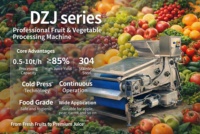 Efficiënte sapcentrifuge, koudpers type, fruitbandpers voor bessen en appels