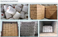 Good Price High Tenacity Blended 30 Spun Yarn Polyester for Weaving