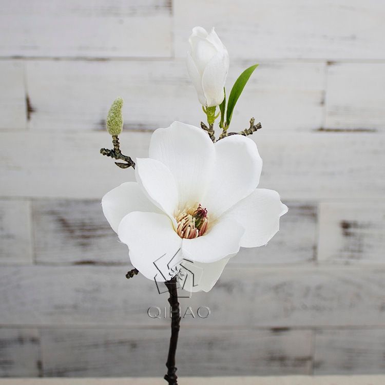 สไตล์ 1 สีขาว