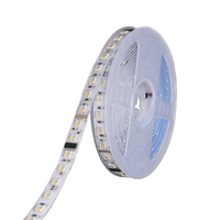 Bande lumineuse LED flexible TRX adressable et programmable 5050RGBW pleine couleur avec USB/SK6812, étanche IP68, 36V