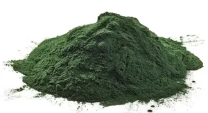 Polvo de algas Chlorella Spirulina de grado alimenticio para alimentación de abulón, alimento para peces de acuario de camarones