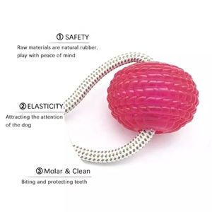 सर्वश्रेष्ठ विक्रेता काटने प्रतिरोधी दांतों की सफाई कुत्ते टूथब्रश टग खिलौना चबाने वाली इंटरैक्टिव पालतू मोलर सक्शन कप खिलौना कुत्ते - Product Image 4