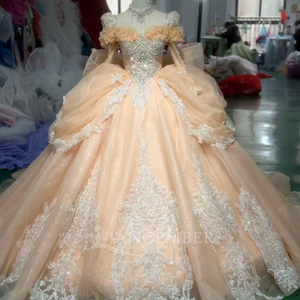 Robe de mariée élégante en organza style princesse française Xs242 Royal Lace avec traîne chapelle pour la mariée et la mère de la mariée - Product Image 2