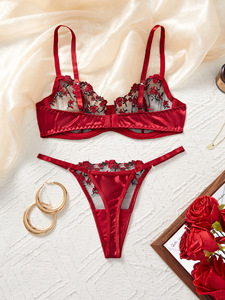 2025 Cross-Border Europäischer & Amerikanischer Stil Dessous-Set: Rotes Samt-Rosen-Stickerei Bügel-Push-Up-BH und Slip-Set für Damen - Product Image 4