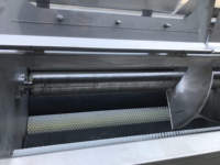 Qiangda One-Stop Automatische Fruitgroentenmoer Dunschiller Wasmachine Hete Verkoop Aardappel Cassave Tarwe Schilmachine Voor Sojabonen Maïs