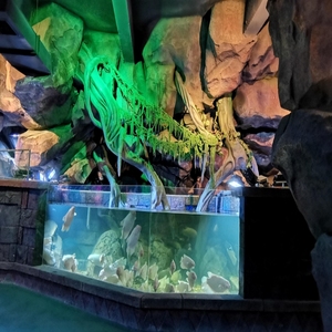 Aquariums de grande taille personnalisés en usine acrylique de rectangle de grand réservoir de poissons <span class=keywords><strong>Aquarium</strong></span> acrylique durable de 100 MM - Product Image 3