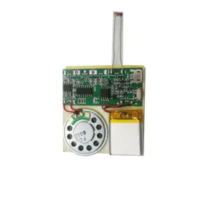 Módulo de sonido para caja de juguete, tarjeta de felicitación con Chip de sonido activado por Usb
