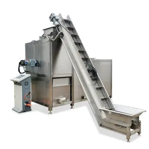 Automatic Tomato Washing Machine Small Processing Plant Tomato Paste Production Line