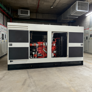 工場価格 30kW-500kW わら/バイオマス発電機/木質ガス合成ガス発電機/200kW 天然ガス発電機 - Product Image 1