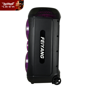 Đảng <span class=keywords><strong>Feiyang</strong></span> mô hình tư nhân kép 8 inch Surround hội nghị BT nhà USB karaoke di động pin PA DJ di động âm thanh loa lớn - Product Image 5