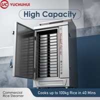 Armoire de cuisson vapeur électrique et à gaz double alimentation en SUS304 robuste pour riz et fruits de mer avec plateaux perforés solides