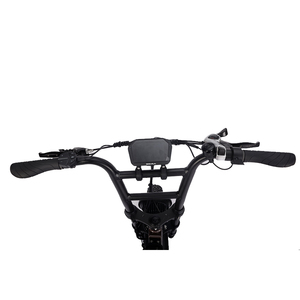 <span class=keywords><strong>Vélo</strong></span> <span class=keywords><strong>électrique</strong></span> pour <span class=keywords><strong>femme</strong></span> avec <span class=keywords><strong>moteur</strong></span> <span class=keywords><strong>central</strong></span> Bafang 48V 350W/500w/1000w de 20 pouces - Product Image 3