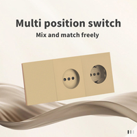 Interruptores y Enchufes de Pared WESA Ultrafinos con Botón Pulsador EU de 1/2/3 Vías con Enchufe USB Tipo C, Combinación Libre, Diseño Moderno de Lujo