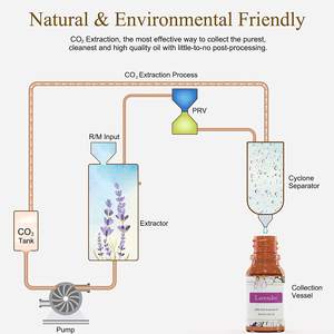 <span class=keywords><strong>Mzel</strong></span> Prix de gros OEM Huile essentielle d'ylang ylang biologique naturelle Fournisseurs en vrac - Product Image 4