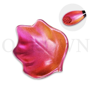 Pigment de revêtement de peinture caméléon à bas <span class=keywords><strong>prix</strong></span> Pigment de résine époxy caméléon - Product Image 3