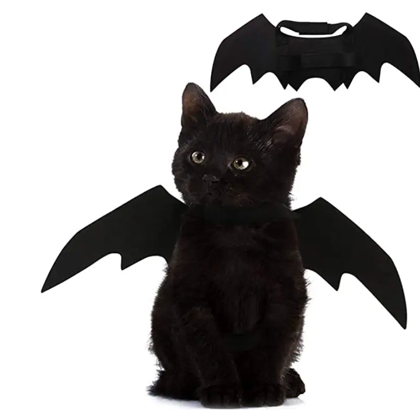 Dog Collar Leads Cosplay Bat Costume Cute Puppy Cat Dress Up Accessories Pet Cat Bat Wings Halloween Decoration All Saints'Day